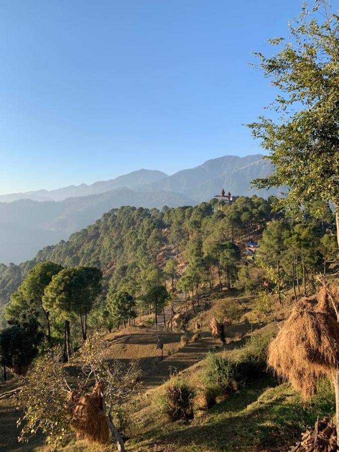 Meemo'S Home Dharamshala Dış mekan fotoğraf