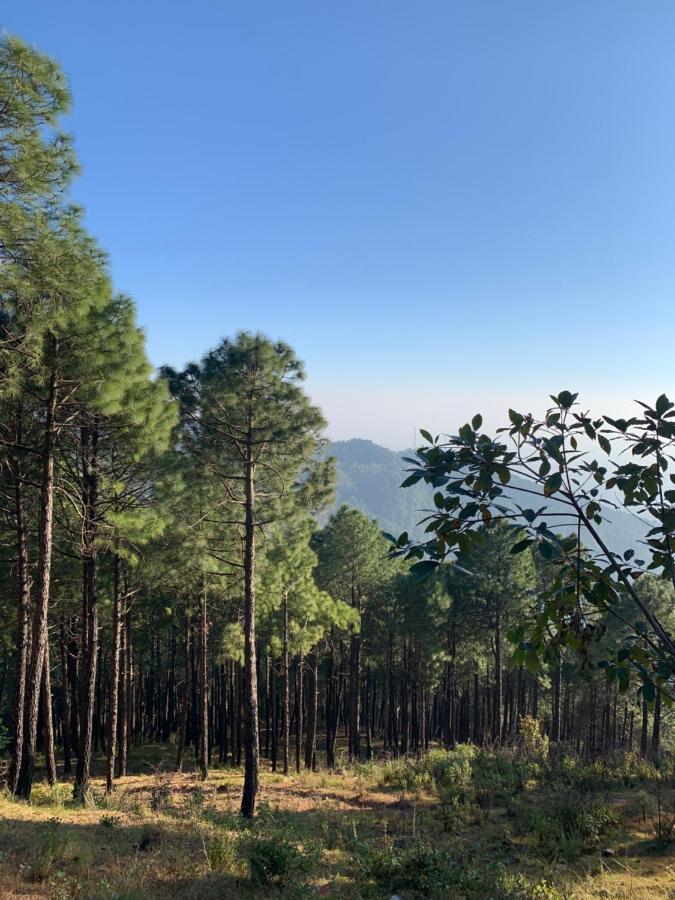 Meemo'S Home Dharamshala Dış mekan fotoğraf