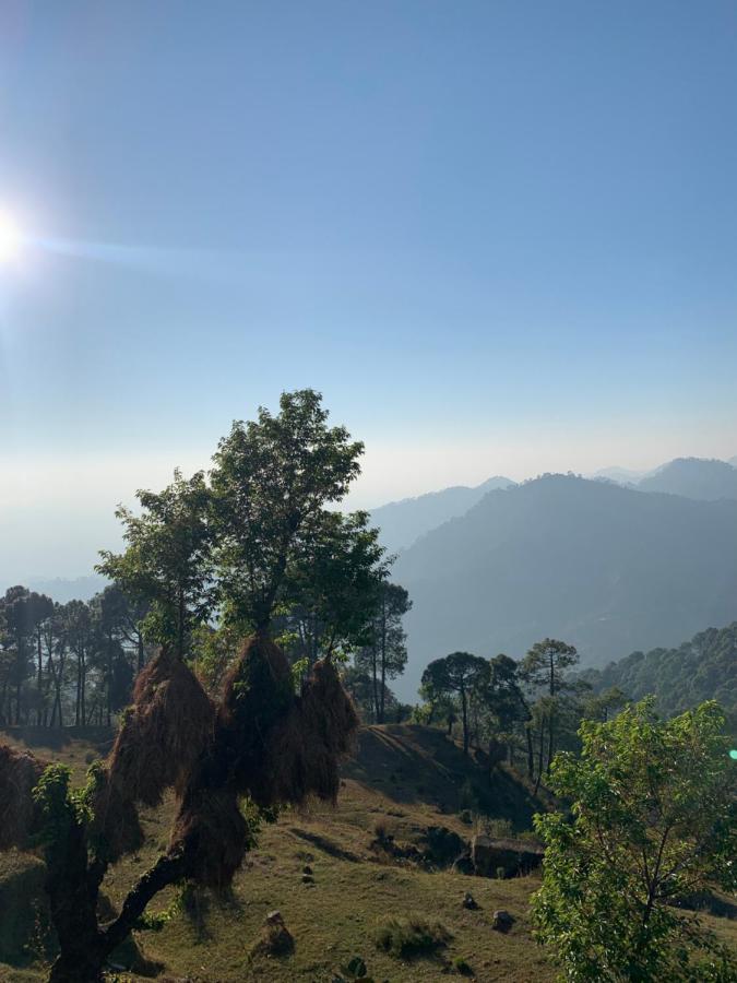 Meemo'S Home Dharamshala Dış mekan fotoğraf