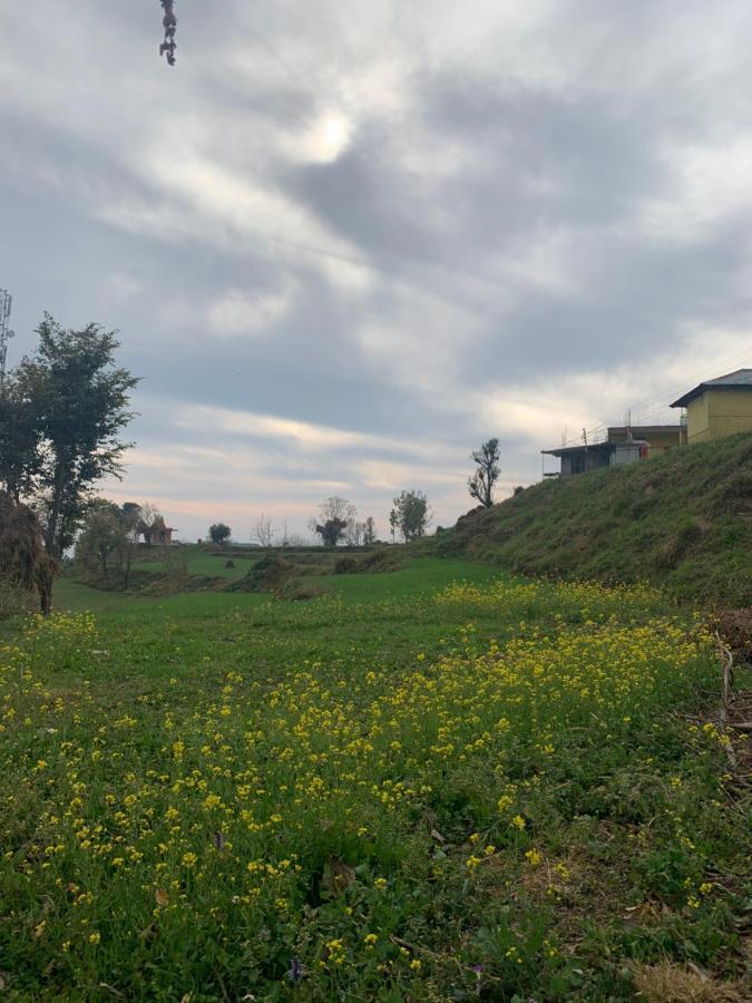 Meemo'S Home Dharamshala Dış mekan fotoğraf