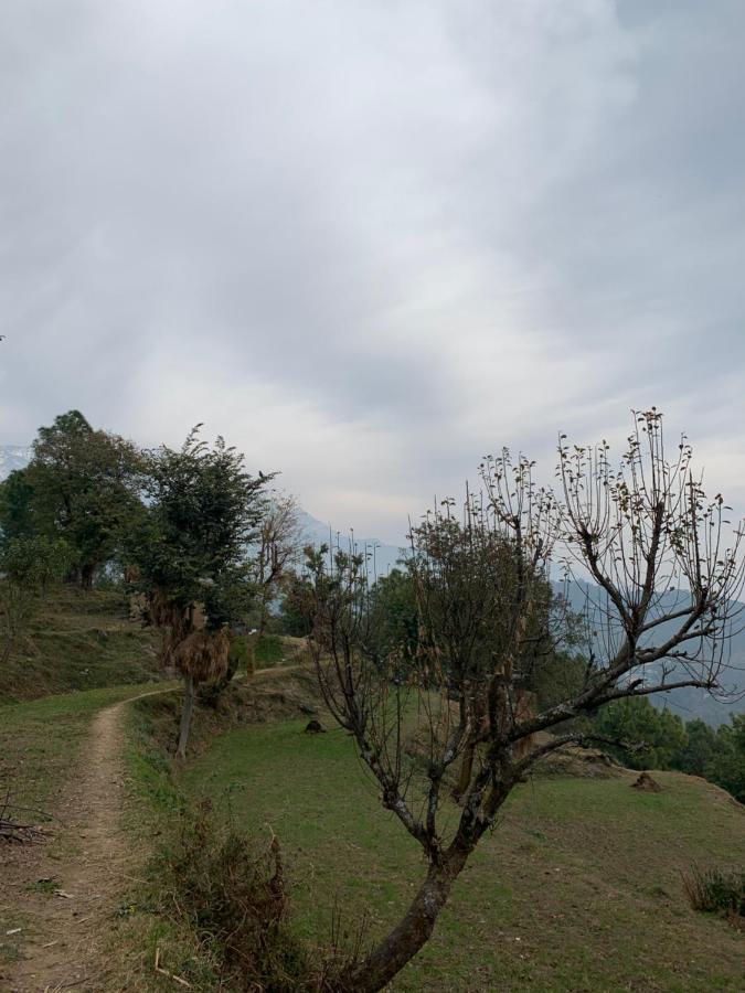 Meemo'S Home Dharamshala Dış mekan fotoğraf